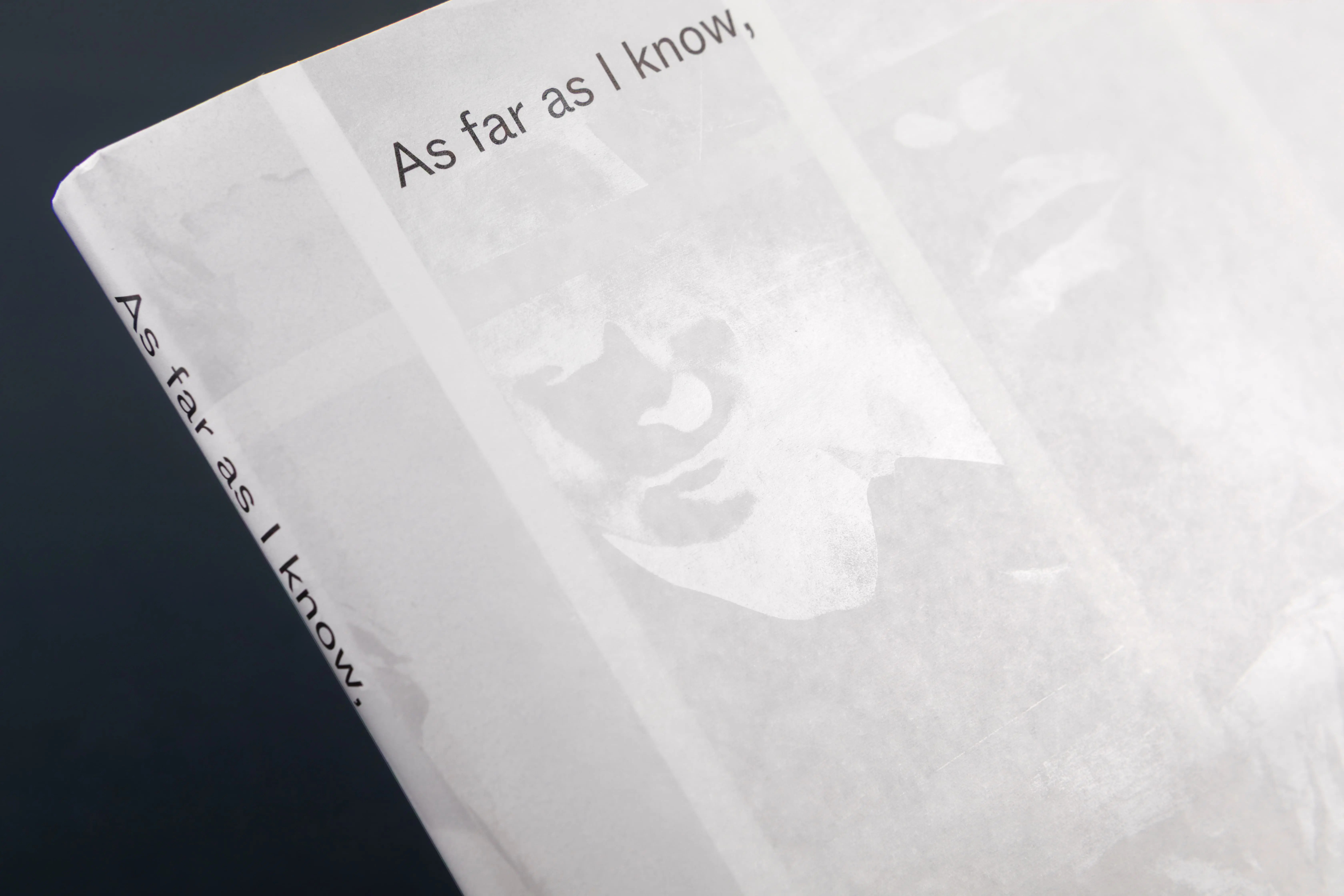 Artwork from As Far As I Know, (book) (2024)