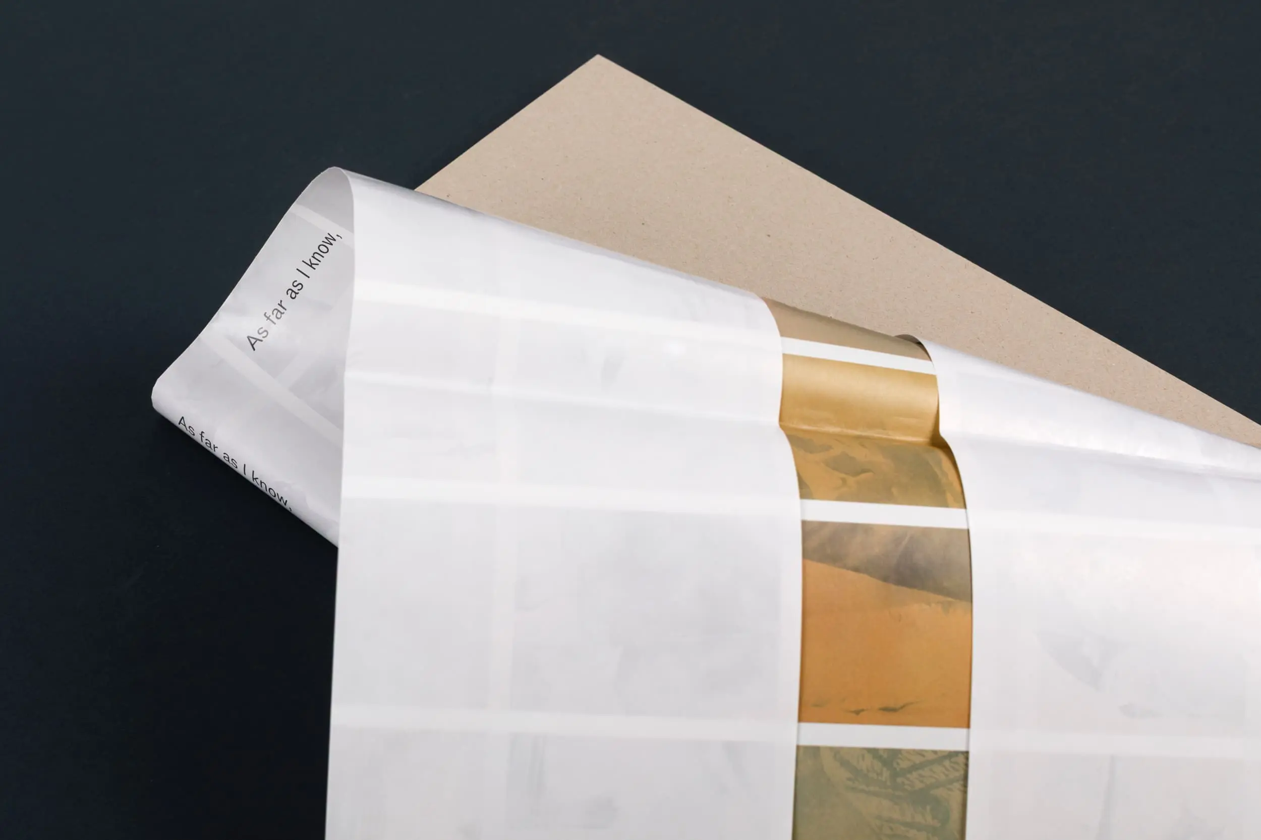 Artwork from As Far As I Know, (book) (2024)