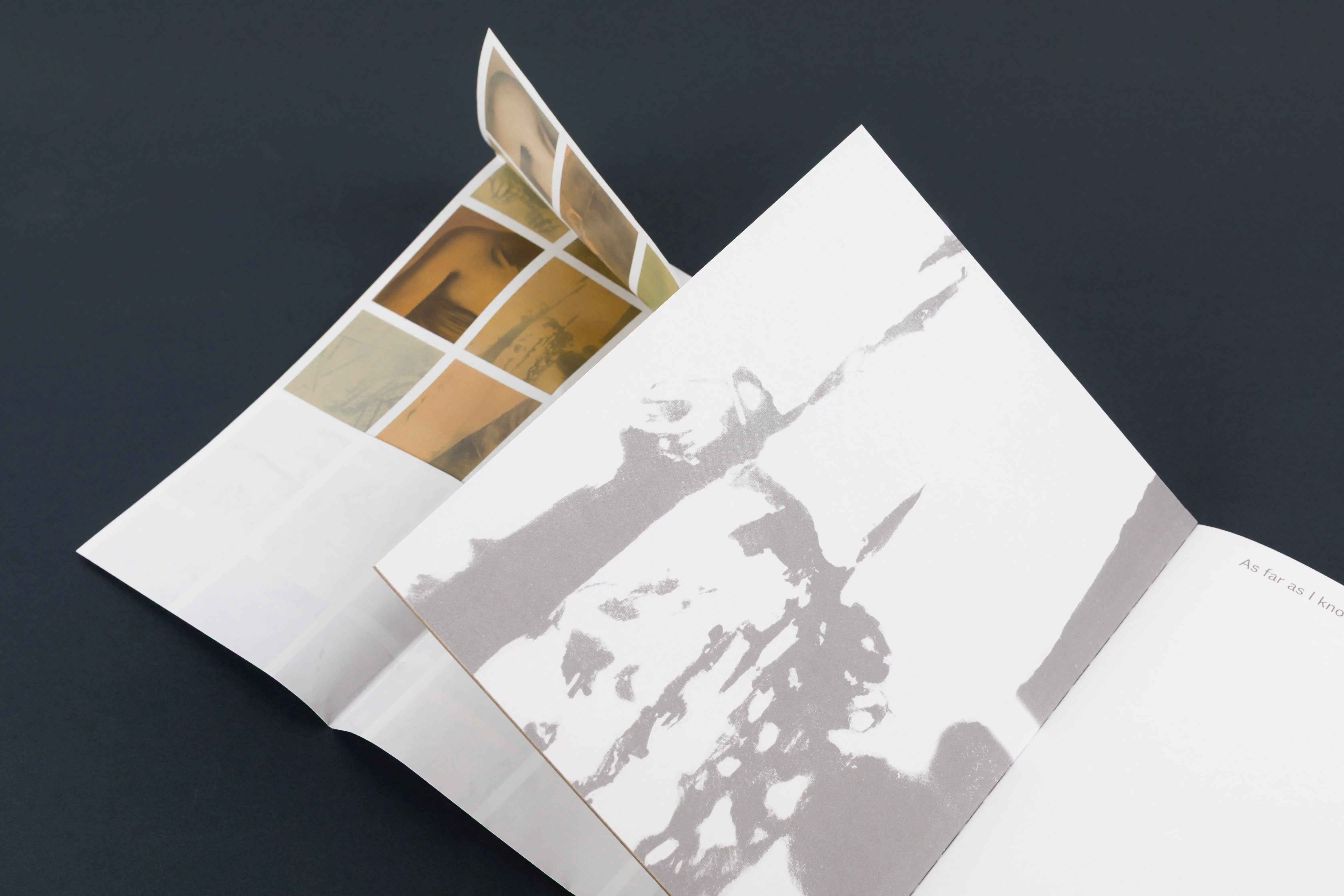 Artwork from As Far As I Know, (book) (2024)